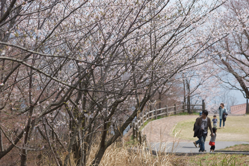 三原市筆影山山頂より